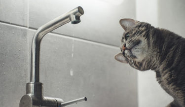 知ってる？住宅用語（洗面・水回り編）