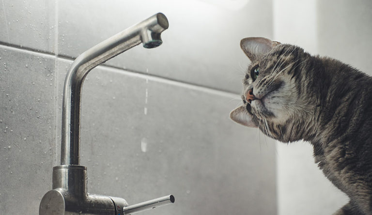 知ってる？住宅用語（洗面・水回り編）