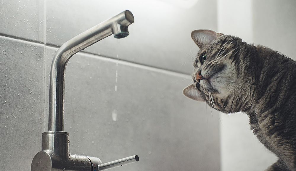 知ってる？住宅用語（洗面・水回り編）